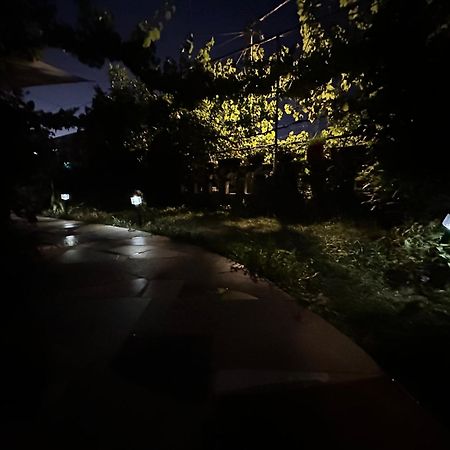 Villa Zeko Gjirokastër Dış mekan fotoğraf