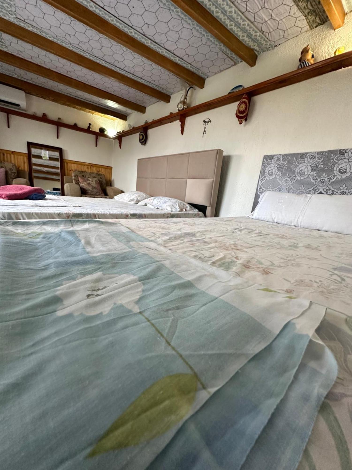 Villa Zeko Gjirokastër Dış mekan fotoğraf